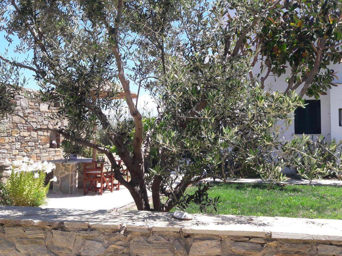 Elpidas Studios Agia Anna  외부 사진